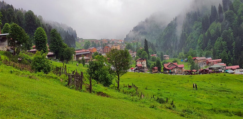 ayder2 copy