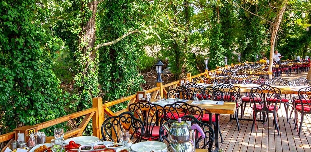 tea garden1