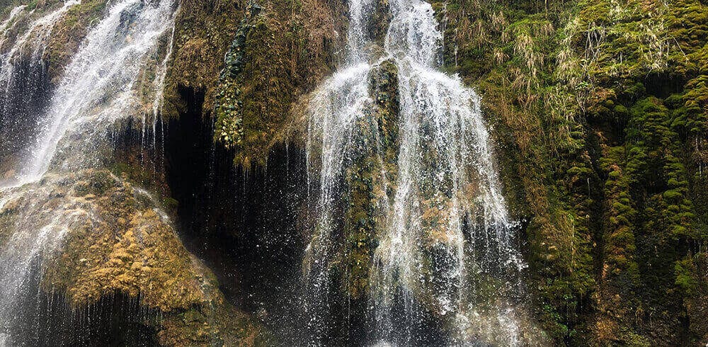 agaran (1)