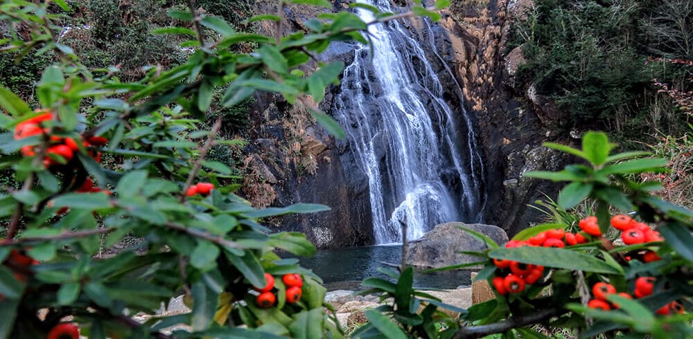 agaran (3)