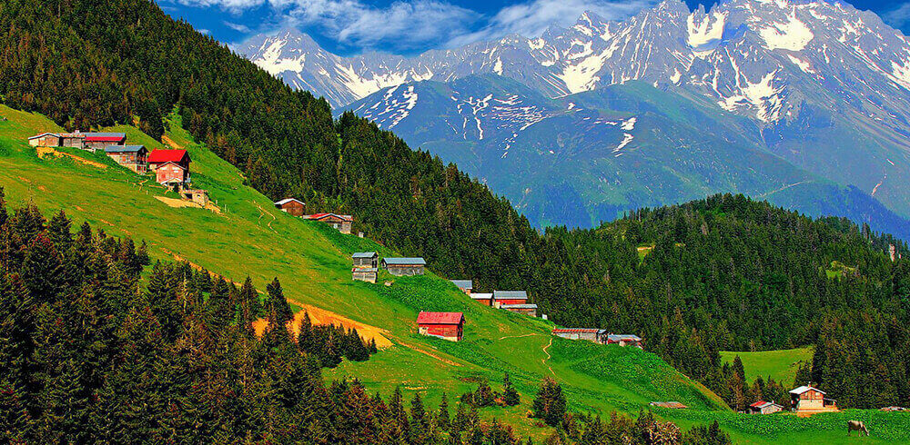 ayder (2) (1) (1) (1)