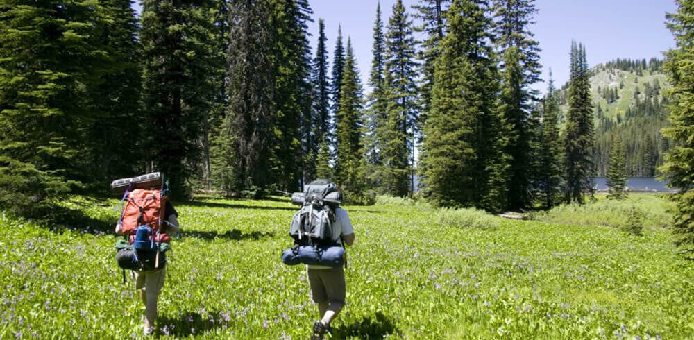 hiking-902×600