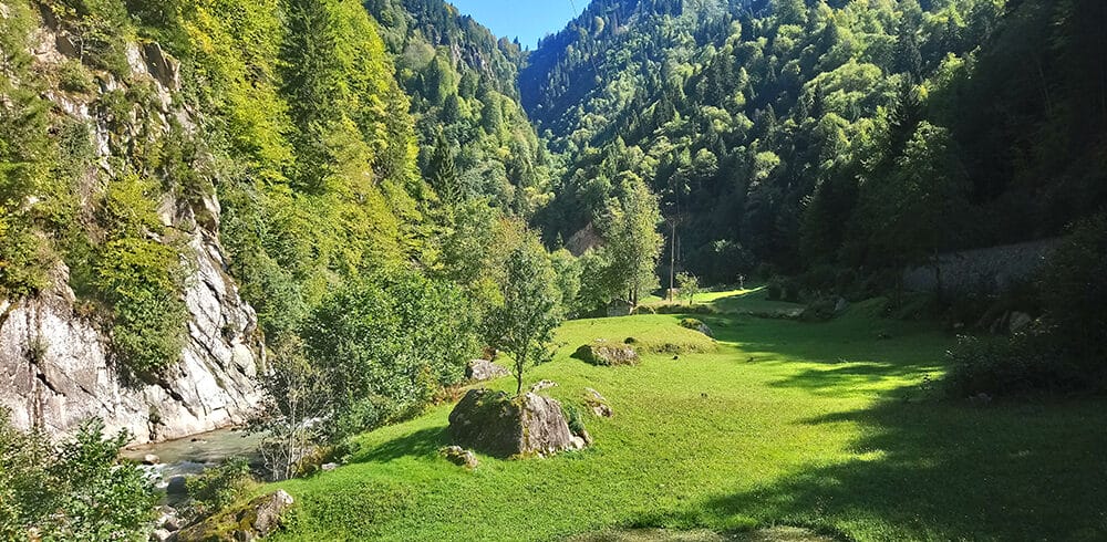 ikizdere