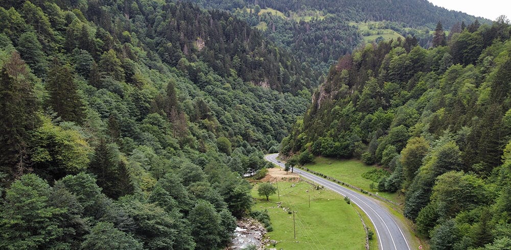 ikizdere (6)