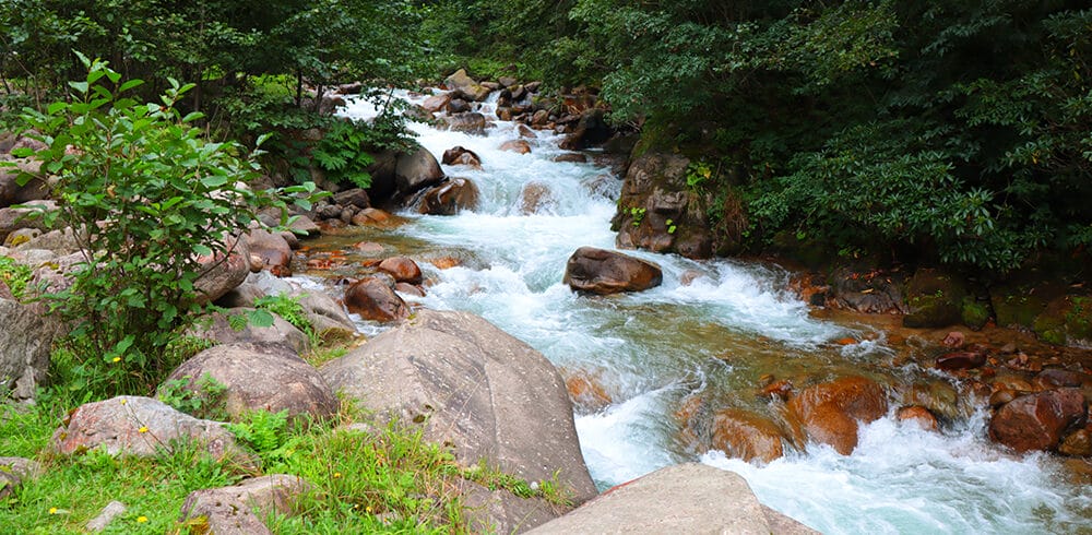 ikizdere (7)