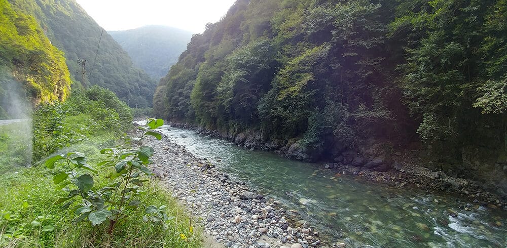 ikizdere (9)