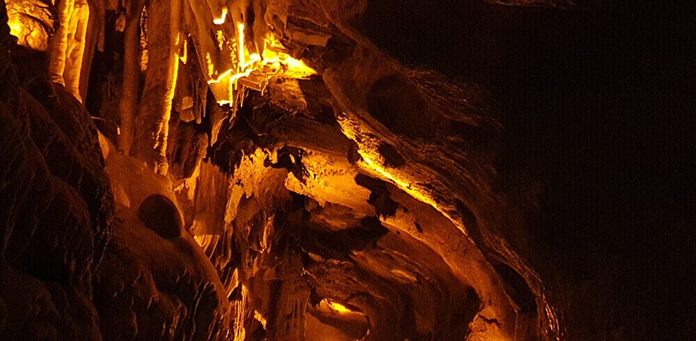 karaca (3)
