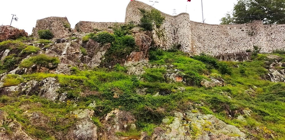 TİREBOLU-Recovered