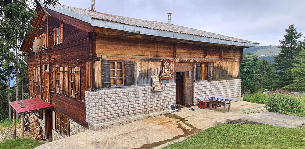 pokut11