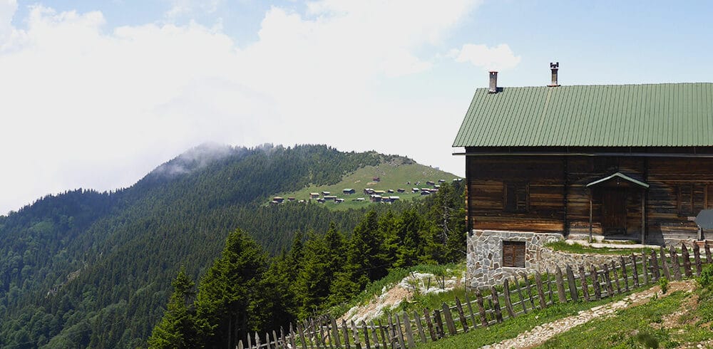 pokut14