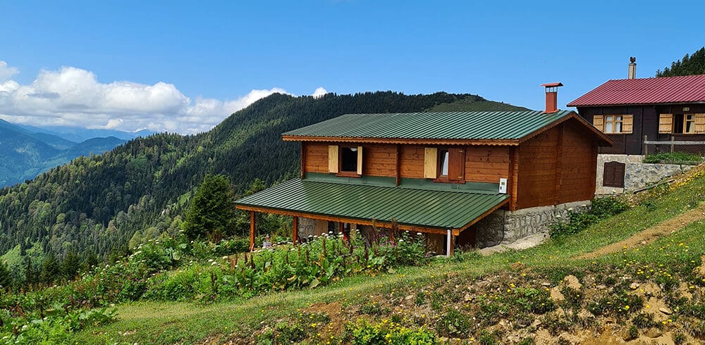pokut4