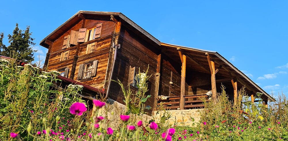 pokut7