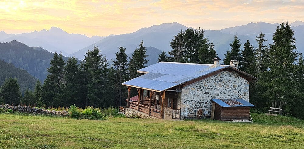 pokut8
