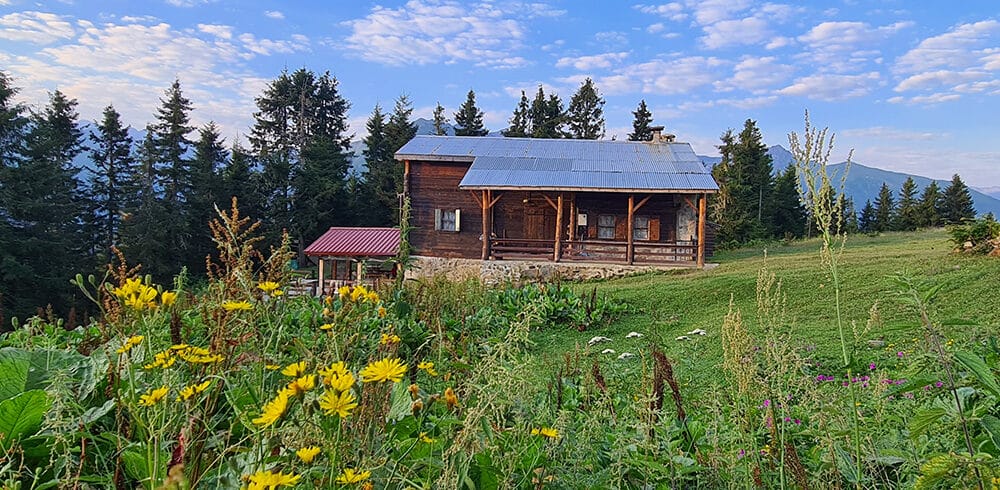 pokut9